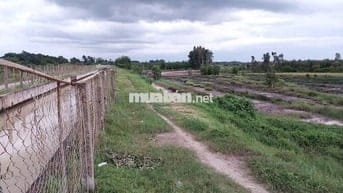 Bán trang trại MT Kênh Đông- T.T.Hội- C.Chi.