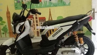 xe cam zin nguyên con