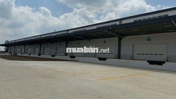 Cho thuê kho xưởng đẹp 5.000m2 - 10.000m2 , tại KCN Bến Lức , Long An