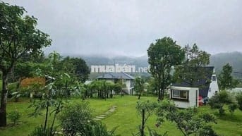 Định cư nước ngoài bán lỗ gấp lô 26x80m 2082m2 giá 300 triệu View Hồ