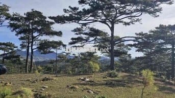 Hàng Ngộp Bán Rẻ 1005m2 Giá 450Triệu TP.Bảo Lộc Tiện Phân Lô View Đẹp