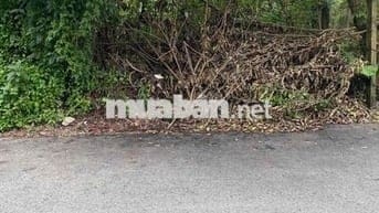 Đất thổ cư, hẻm xe hơi 16 chỗ, 5x25m Hẻm 287 Trần Quang Diệu