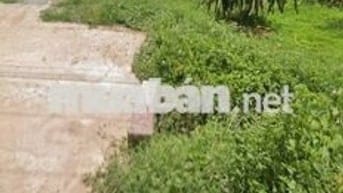 CHÍNH CHỦ Cần Bán Nhanh Lô Đất Hàm Thạnh, Hàm Thuận Nam, Bình Thuận.