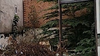 Bán đất 65m2 ( 6.5 x 10m ) , hẻm 3 gác 