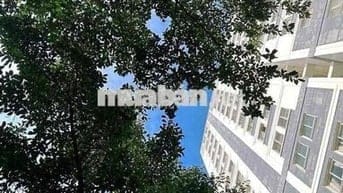 TÌM GẤP NỮ Ở GHÉP CĂN HỘ DREAMHOME LUXURY, GÒ VẤP