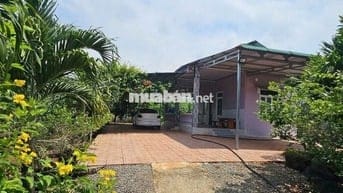 Chủ Ngộp Cần Bán Gấp Lô Đất Vườn