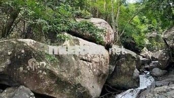 CẦN TIỀN BÁN GẤP ĐẤT VƯỜN GIÁP SUỐI - GẦN HỒ TRỊ AN  chỉ 850tr/ sào