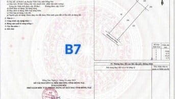 Đất sổ riêng thổ cư phường Tân Triều. Chỉ cần 200 triệu nhận đất