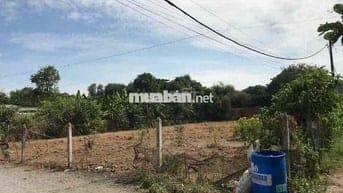 Đất ngộp bank 1/ nguyễn thị nê (1225m2- 240TC), phú hoà đông