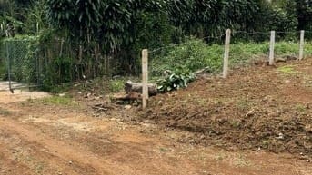 Bán đất thổ cư 166,6 m2(chính chủ), đường Âu Cơ 16m, tp bảo lộc.