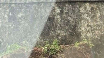 Bán nhà hẻm đường Lam Sơn, Thành Phố Bảo Lộc, Lâm Đồng