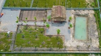 Đất vườn Gò Dầu – Vùng đất thanh bình, đậm chất Nam Bộ