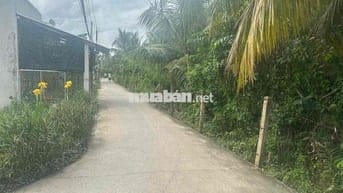 Đất nhà em cần cắt ra bán 800m2