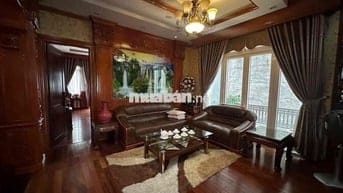 Cho thuê biệt thự chánh nghĩa thủ dầu một