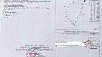 Bán nhanh 1,1359ha đất rừng sản xuất Tân An, Vĩnh Cửu, Đồng Nai