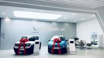 CƠ HỘ SỞ HỮU VINFAST VỚI CHÍNH SÁCH 0 ĐỒNG