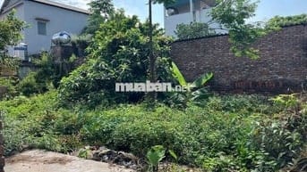 ĐẤT ĐẸP GIÁ TỐT – GẦN NHÀ VĂN HÓA & HỒ ĐIỀU HÒA KIM SƠN, GIA LÂM