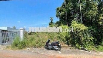 Đất Tân An mặt tiền DX 125 gần chợ Bến Thế nhựa thông 5m i hình