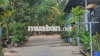 Ban nha phuong binh nham,,co hoan cong