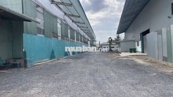 Cho thuê kho xưởng 6.000m2 Hướng Thọ Phú, Tân An,Long An (cũ), giá tốt