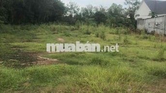 Ông có nền đất ở ngay mặt tiền đường huyện 462m2 muốn bán giá 670tr