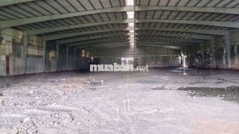 Xưởng cho thuê ngoài KCN Bình Chánh TP HCM giá 60/m