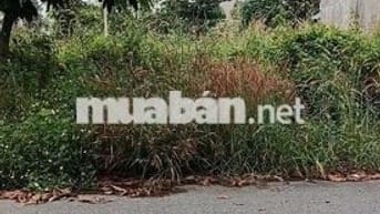 Bán đất Kcn Nam Tân Uyên 5x15m full thổ cư  phường uyên hưng tân uyên