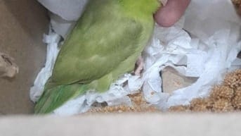 Cho thuê nhà Nhân Hoà Thanh Xuân 