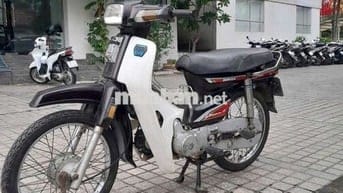 Xe dream Hàn Quốc