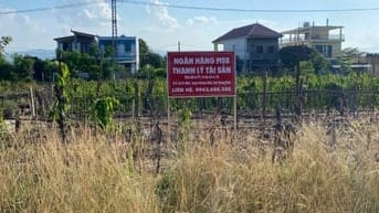 TBĐG Thửa đất 97, tờ bản đồ 18 tại xã Quảng Ninh, tỉnh Quảng Trị