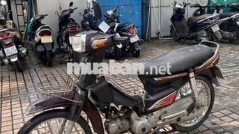 Xe dream Hàn Quốc bstp