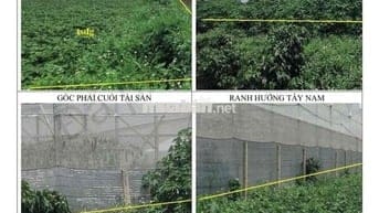 ❌NGỘP BANK CẦN BÁN GẤP ĐẤT 1TỶ6 NGÂN HÀNG ĐÃ ĐỊNH GIÁ HƠN 2TỶ  📍Diện