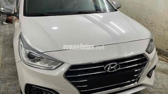 Ecsent đặc biệt doi 2020 chay 34 nghìn cây