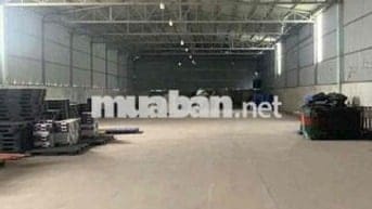 Cho thuê kho, xưởng 550m2 Đông Thạnh Hóc Môn