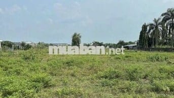 Chính chủ bán đất thổ cư giá rẻ - ĐỨC HÒA hơn 700m2