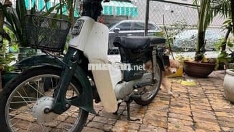 Bán xe đẹp 50cc cho học sinh đi
