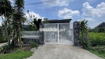 Cần bán lỗ gấp trong tuần 22x57,5m, 1266m2 giá 300triệu sẵn nhà cấp 4