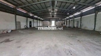 Xưởng cho thuê hóc môn có trạm điện 250