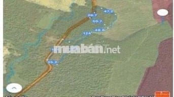 Bán Đất Nông Nghiệp Tân An, Vĩnh Cửu, Đồng Nai