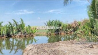 CẦN BÁN ĐẤT SỔ HỒNG , PHƯỚC KHÁNH , NHƠN TRẠCH , ĐỒNG NAI