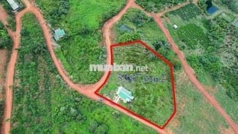 Bán đất CC 2MT 100m Lộc Tân,view hồ Ngọc,ngay nút giao cao tốc, TTHC