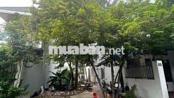 Đất Phú Lợi TDM cũ,Huỳnh Văn Nghệ thông Lê Thị Trung lõi trung tâm TP