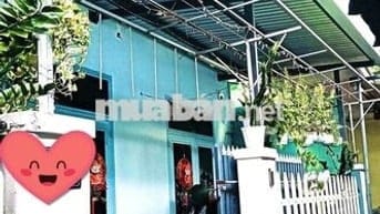 Bán nhà cấp bốn kiên cố đường bình thái 4