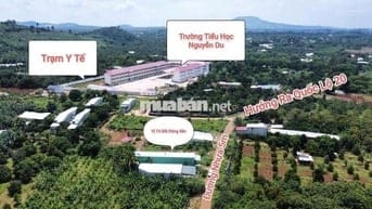 🏠 159m² Mặt Tiền Kinh Doanh Cổng Trường Nguyễn Du – CƠ HỘI VÀNG ĐẦU TƯ