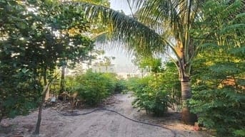 ĐẤT PHỦ HỒNG - ĐƯỜNG BÊ TÔNG - CÓ NHÀ C4 - GIÁ RẺ !