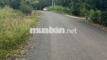 Cần bán đất có thổ cư  mặt tiền đường nhựa An Long, Phú Giáo.