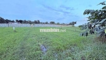 BÁN ĐẤT MT 16.5X30 LÊ MINH NHỰT–TÂN AN HỘI,CỦ CHI 🌳 CHỈ 11 TRIỆU/M2