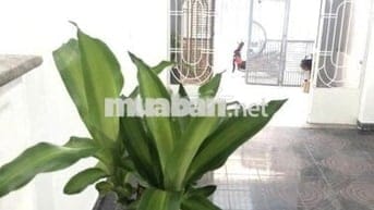 🏠 CHO THUÊ NHÀ NGUYÊN CĂN HẺM TRƯỜNG SƠN–Q10 (3,5*15m2) dọn vào ở ngay