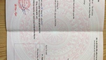 📣 BÁN ĐẤT LỘC KHÁNH, LỘC NINH 1.010M² – GIÁ CHỈ 550 TRIỆU – SỔ SẴN, Đ