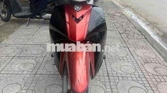 siruis xe hãng giá rẻ